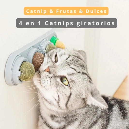 Catnip Para Gatos