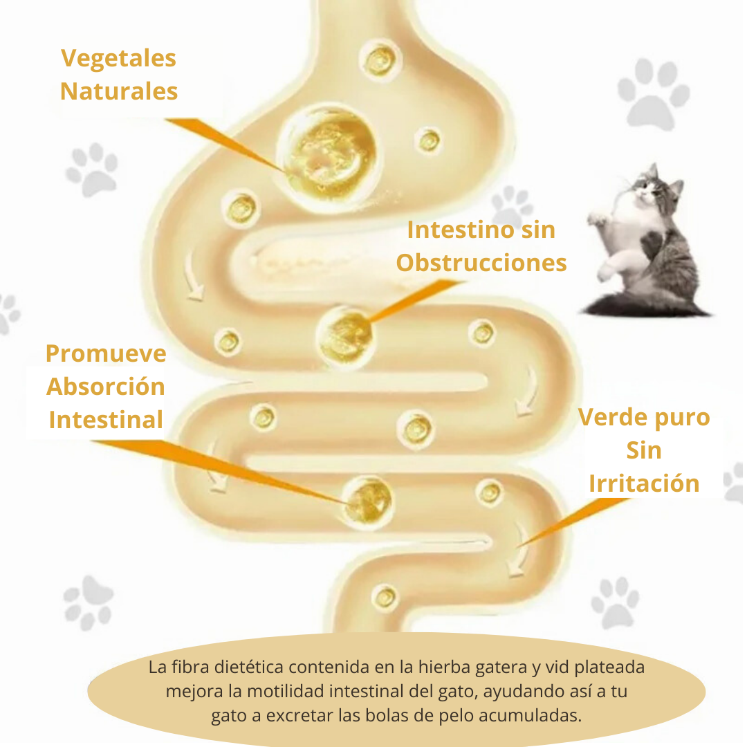 Catnip Para Gatos